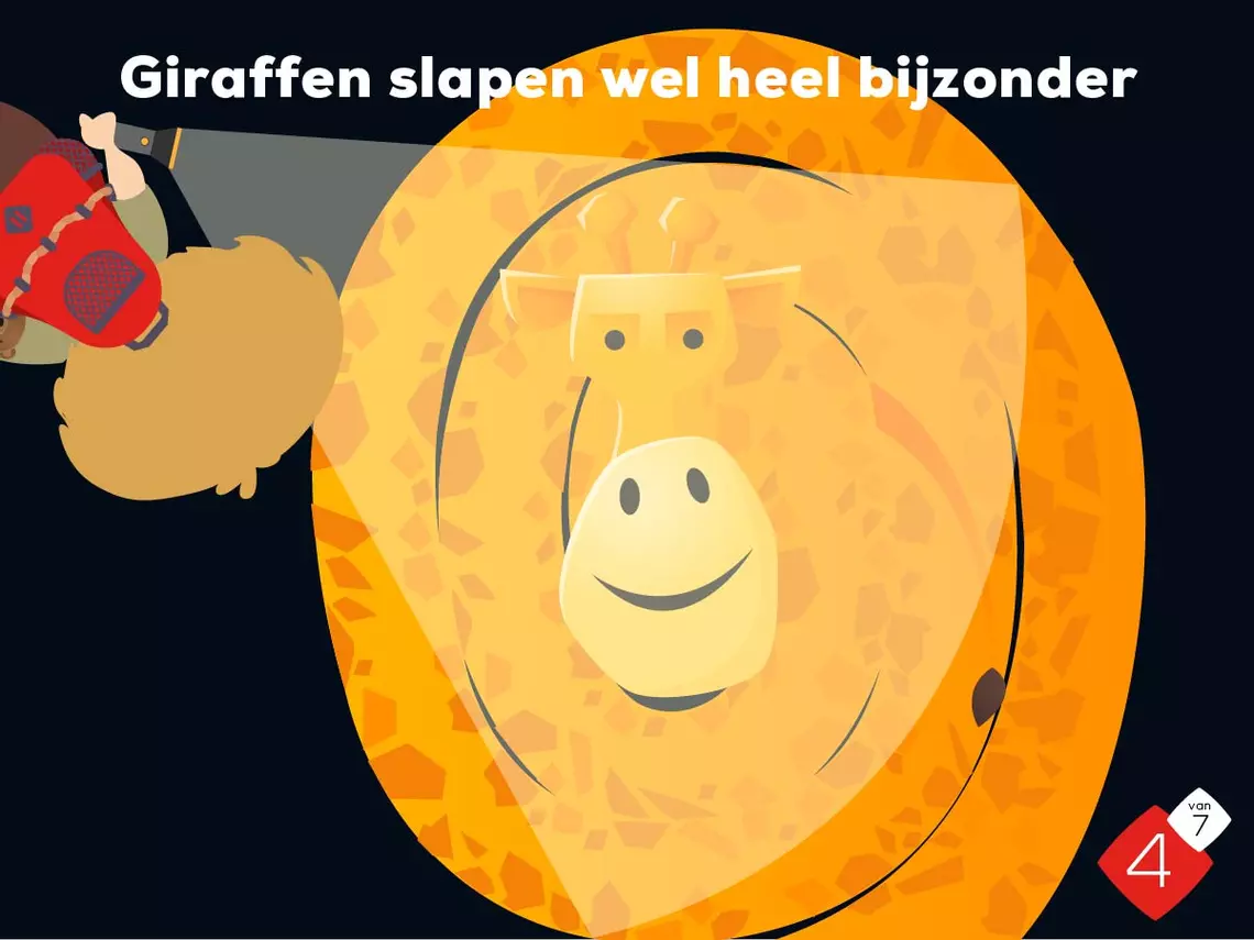 Image Card Item