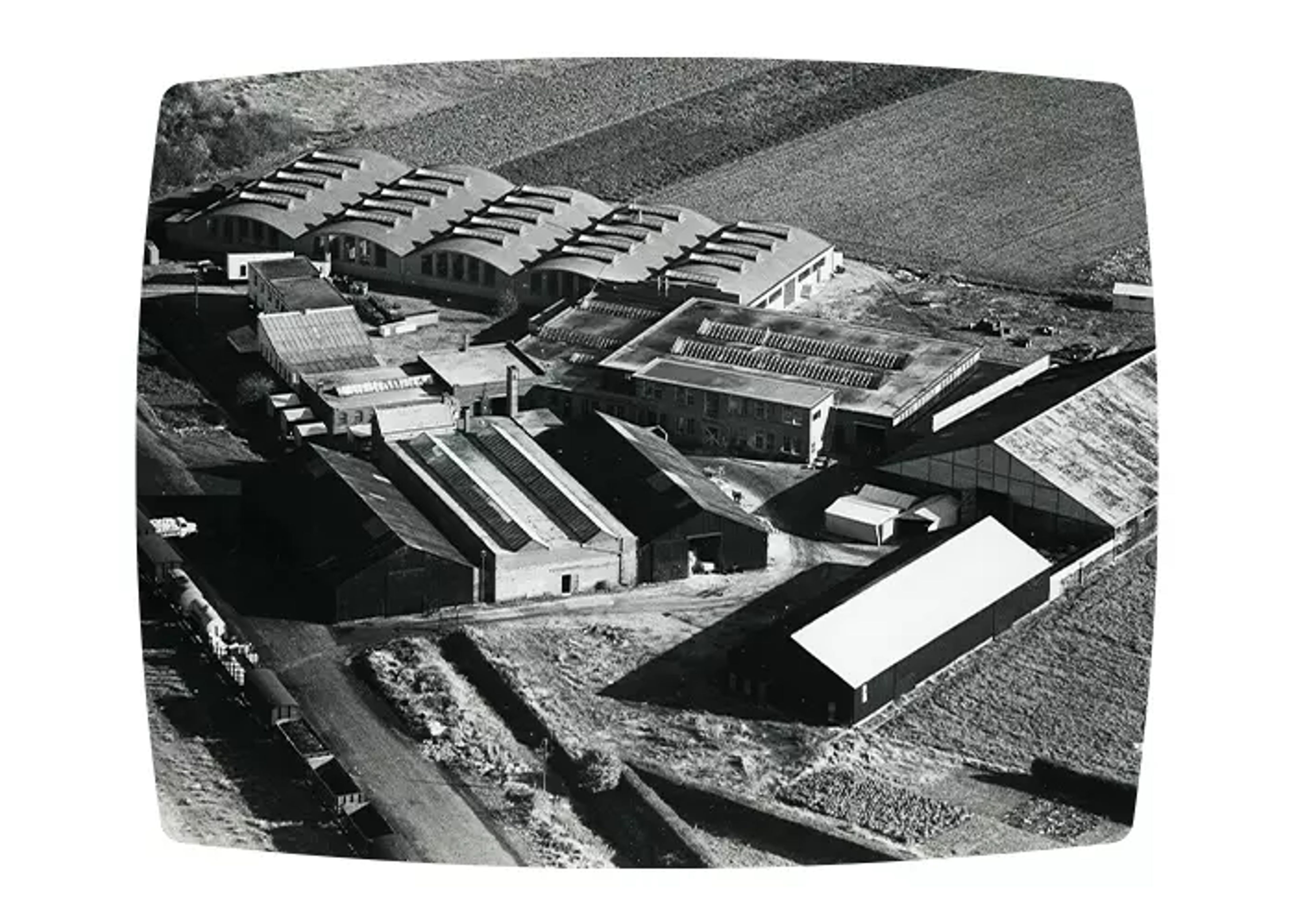 1982